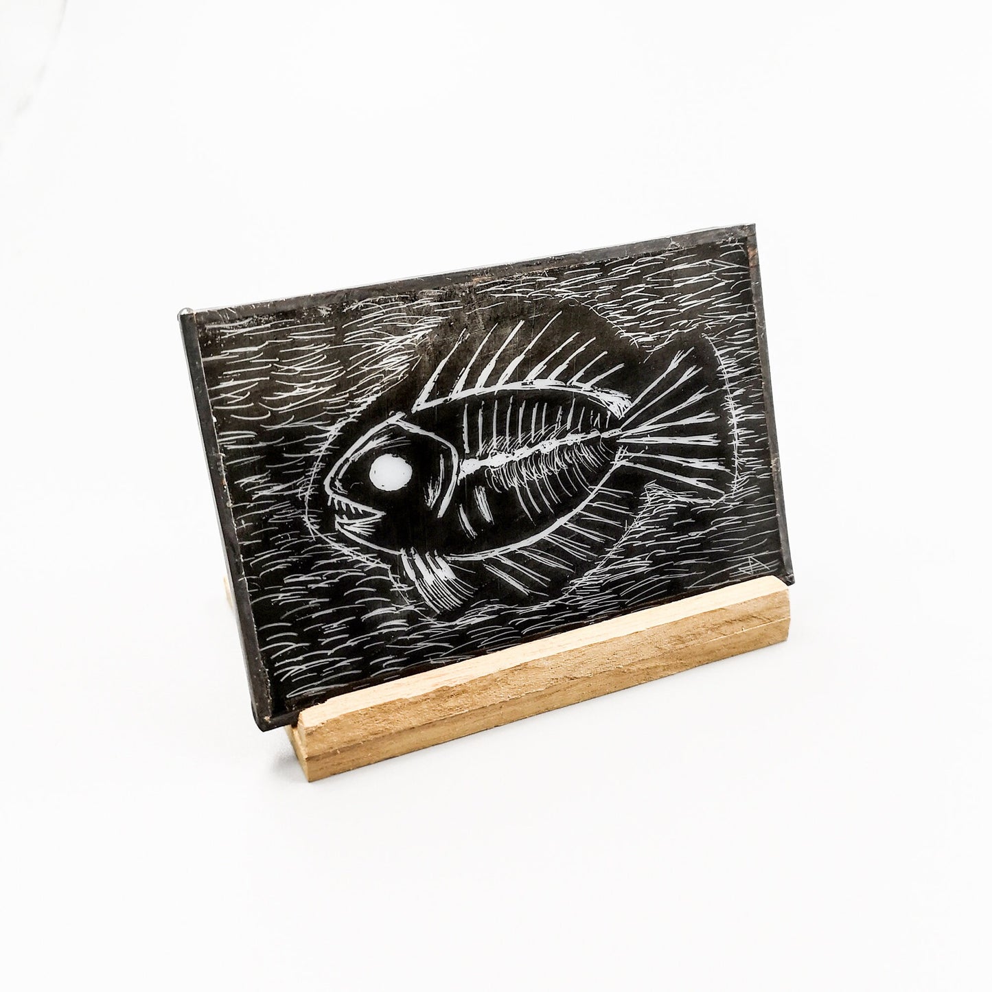 Extinct fossil fish glass display panel, art glass, handmade in the UK