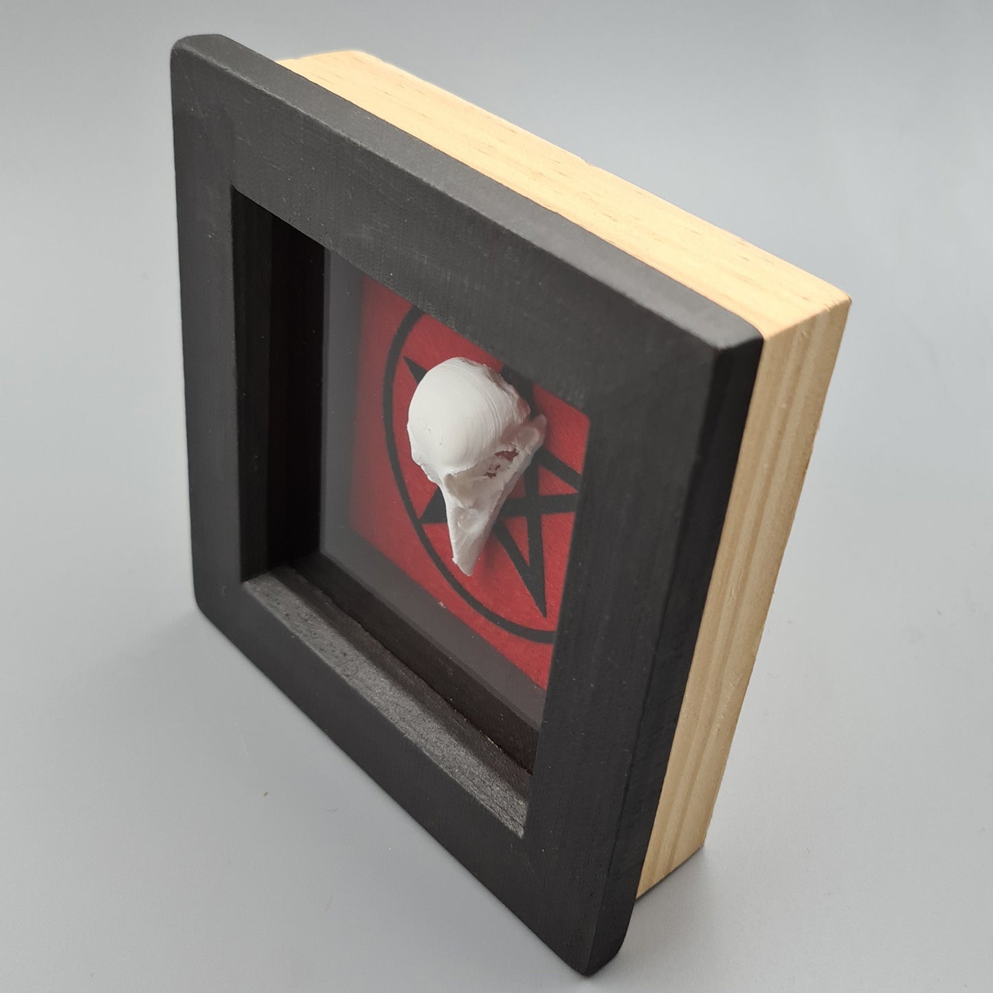 Shadow Box with 3d bird skull and pentagram