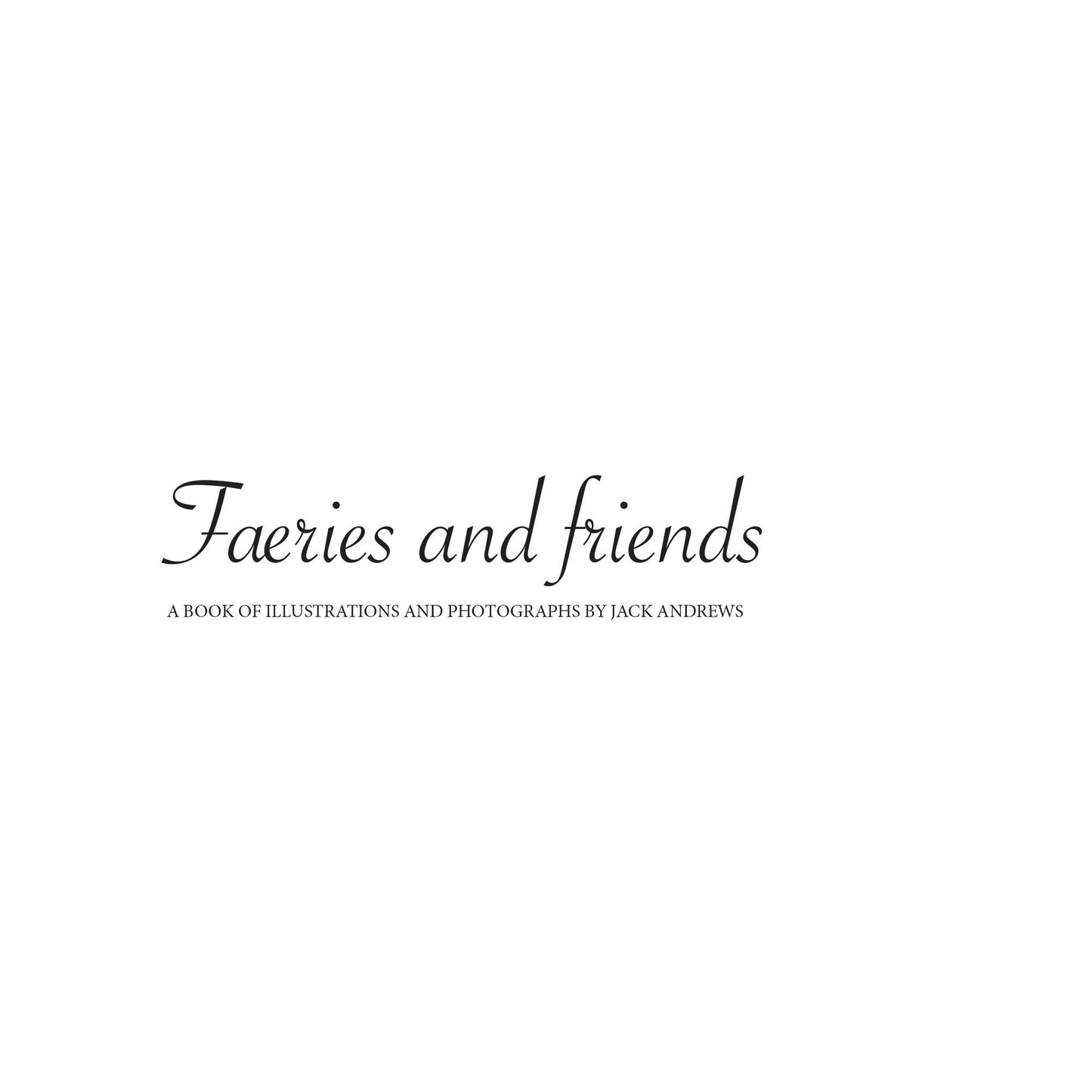 Faeries and Friends – 24 Page soft cover book